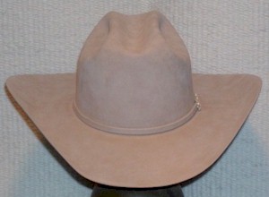 100X Sahara Pure Beaver